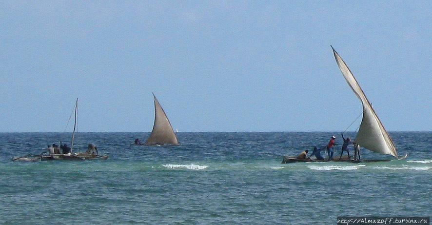 Индийский океан со стороны Африки Занзибар, Танзания