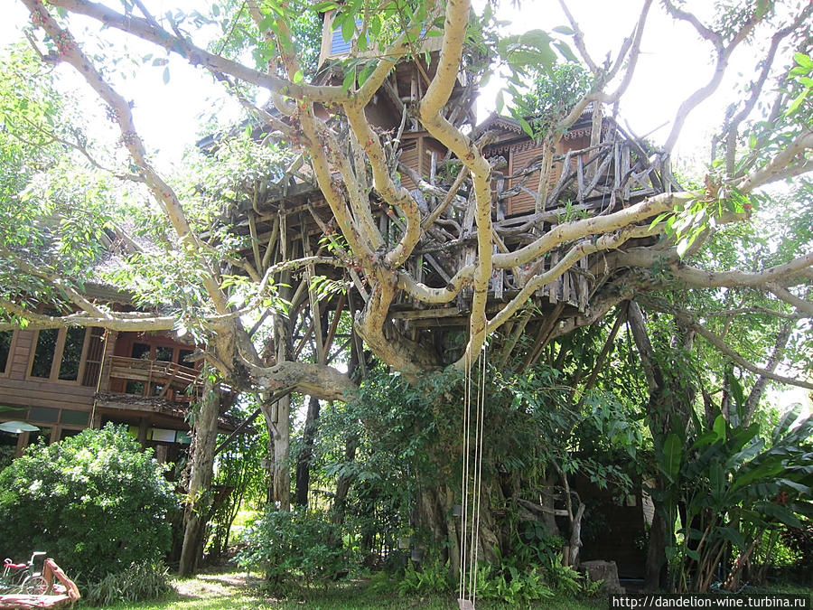 Pai Tree House Пай, Таиланд