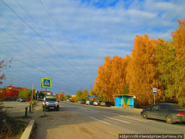 Прогулка по Гилевской роще Тюмень, Россия