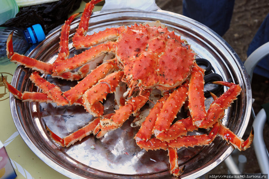 краб южно сахалинск. сахалин морепродукты. краб-стригун красный. рыбный рынок южно-сахалинск. сахалинский королевский краб.