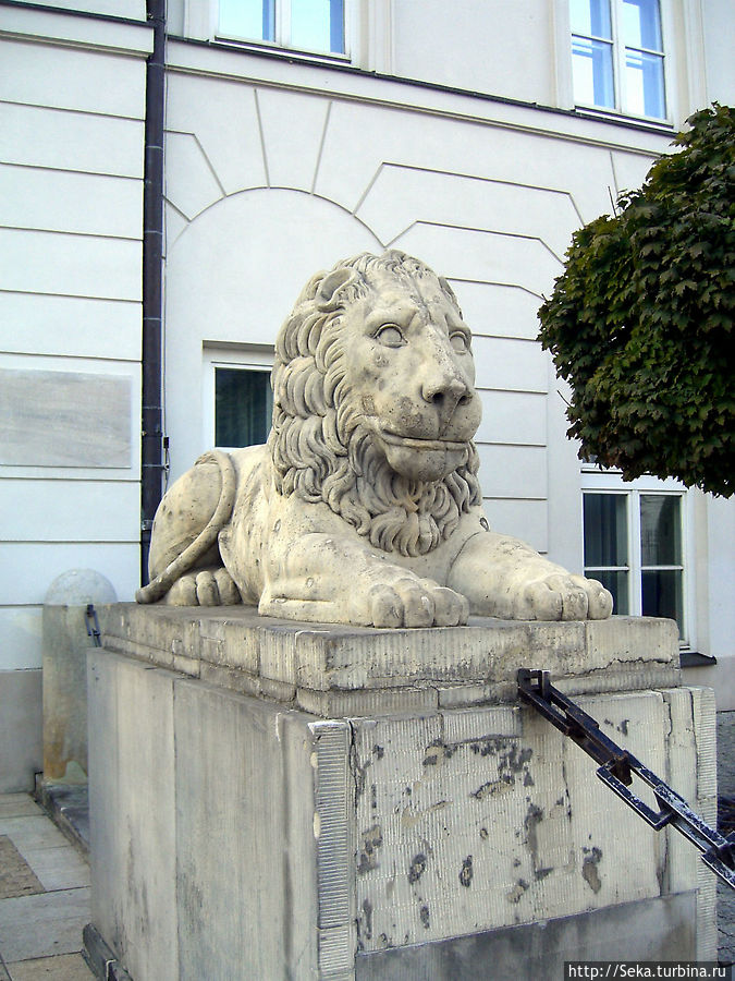 Один из львов у президентского дворца Варшава, Польша
