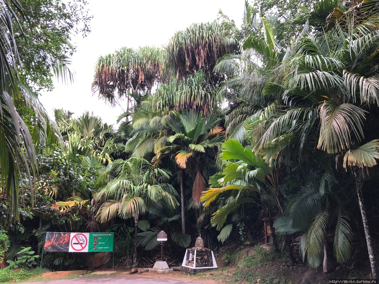 Заповедник «Валле де Мэ» Валле-де-Мэ Заповедник, Сейшельские острова