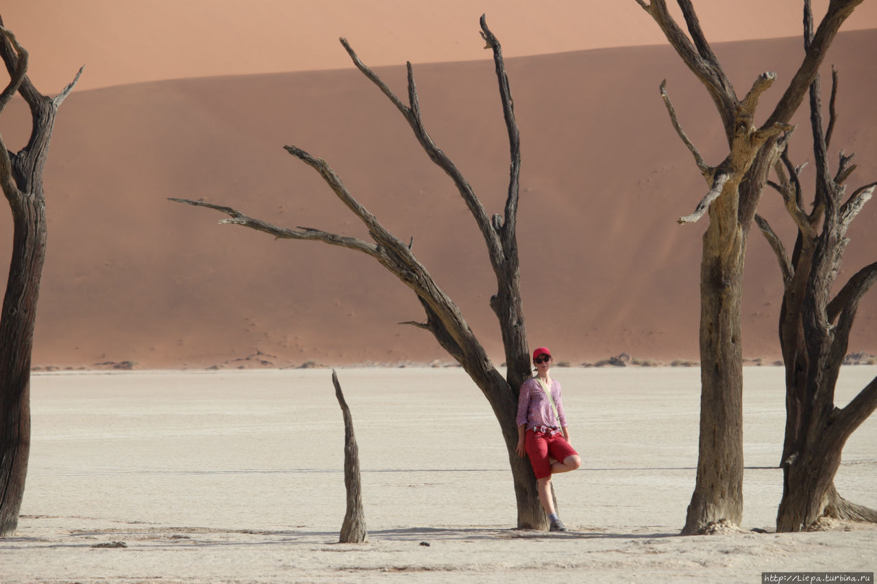 Давным-давно, когда еще печатали фотографии, я распечатала фото из интернета с оранжевыми дюнами и черными деревьями, эта фотография стояла на книжной полке и постоянно притягивала глаз. Другая планета. А, оказывается, все рядом. Мир сузился Парк Намиб-Науклуфт, Намибия