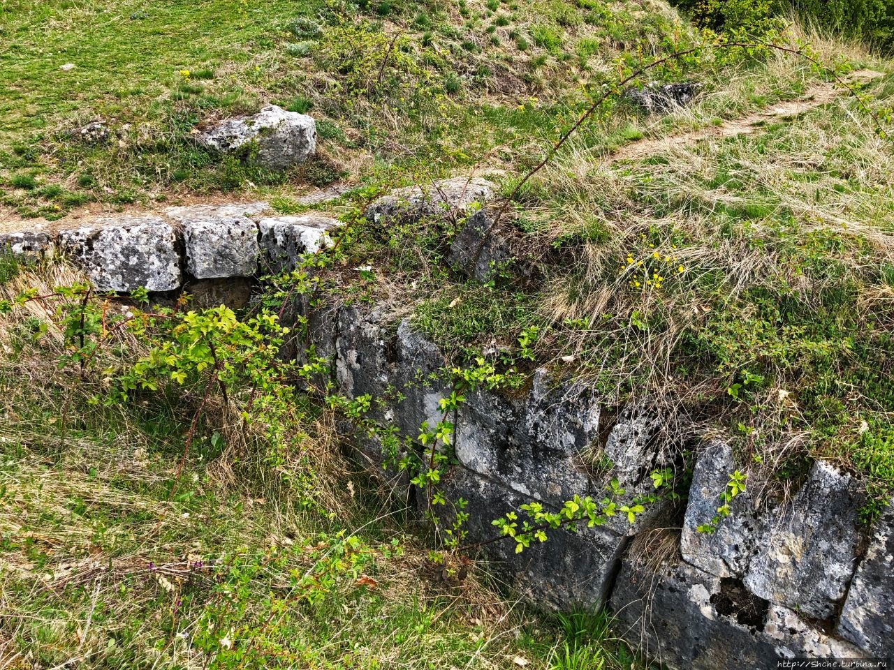 Дакийский форт в Костешты Костешты (Хунедоара), Румыния