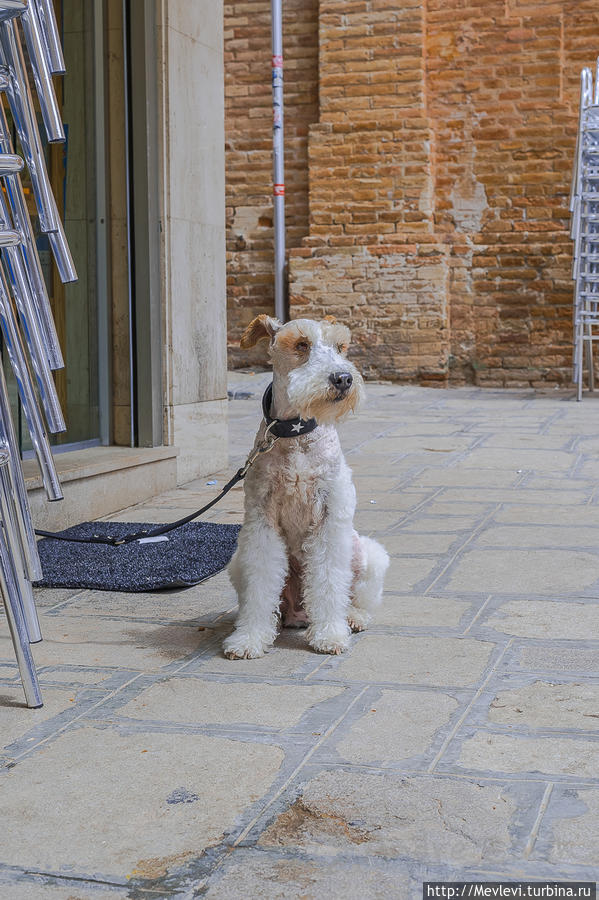 Раслабленый Сиджес Ситжес, Испания