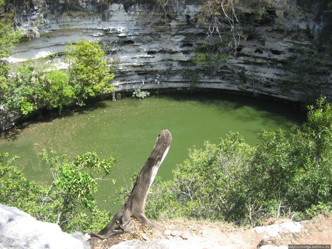 Сенот Штолок / El Cenote Xtoloc