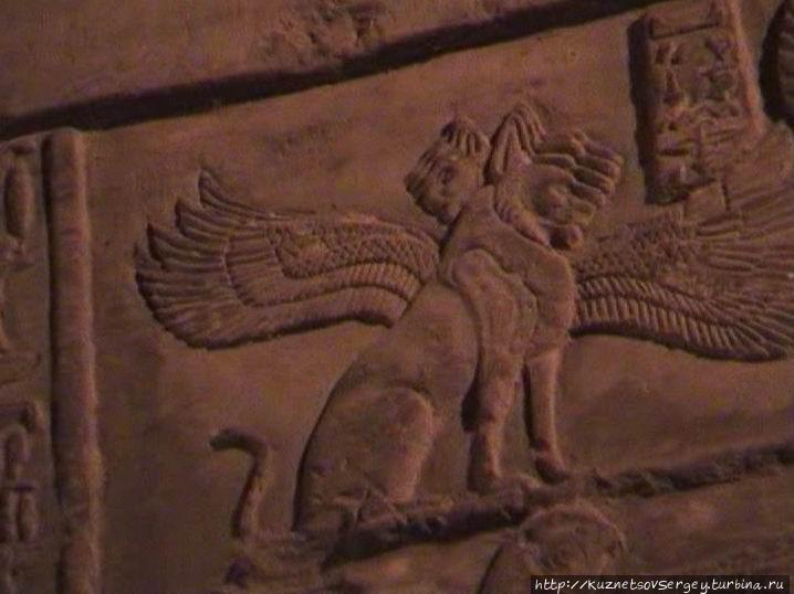 Ком-Омбо: Храм Хора и Себека Ком-Омбо, Египет