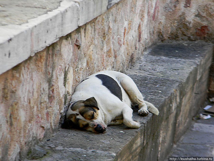 На улице Эрму возле Капникареи Афины, Греция