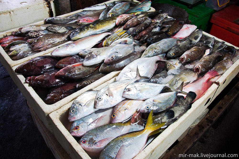 А рыба здесь на любой вкус и цвет. Джимбаран, Индонезия