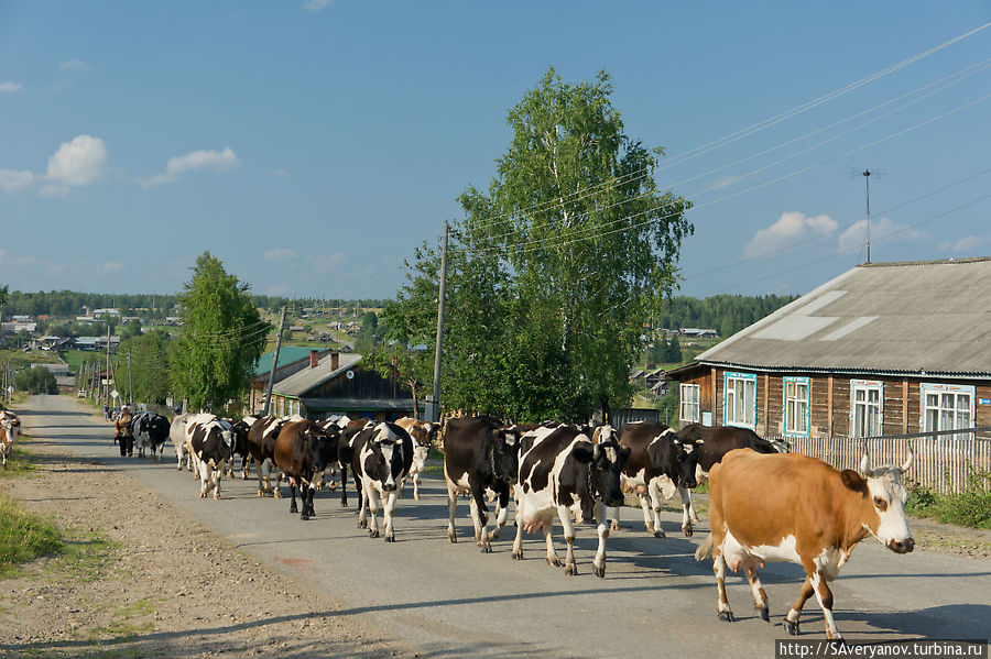 Верхняя Язьва Красновишерск, Россия