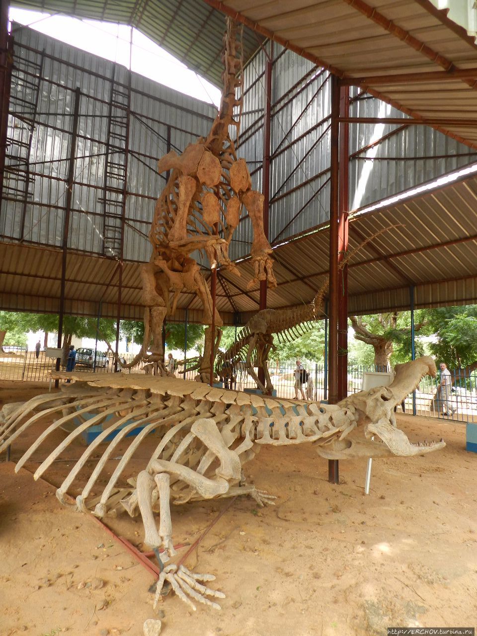 Нигер. Ч — 2. Национальный музей Республики Нигер Ниамей, Нигер