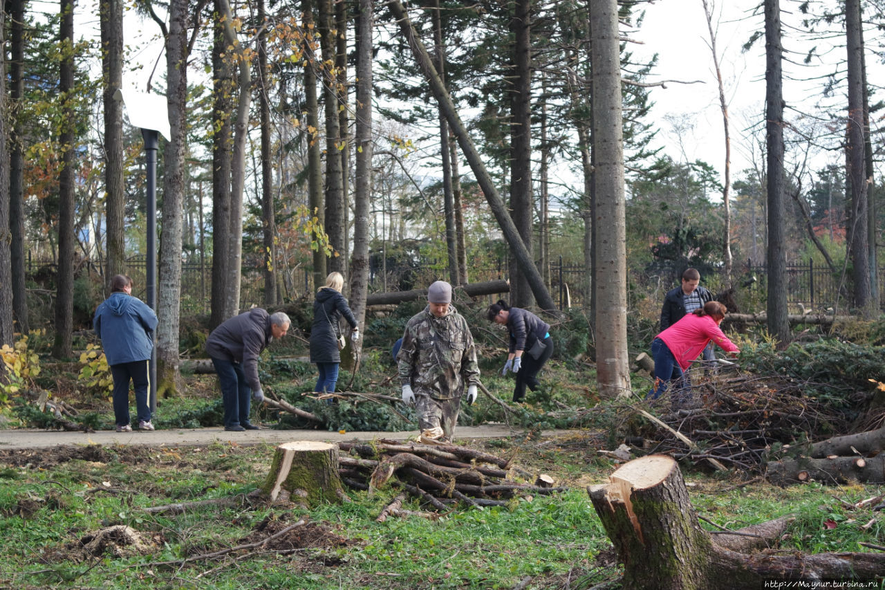 Удар! Еще удар.... Южно-Сахалинск, Россия