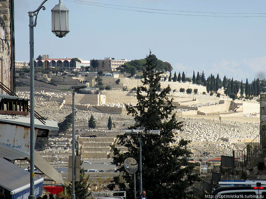Всего один неполный день на прогулку по Иерусалиму. Часть 1 Иерусалим, Израиль