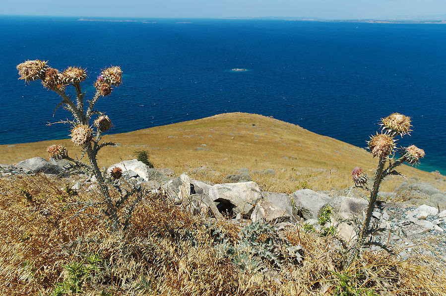 Турецкий остров с особой атмосферой Остров Бозджаада, Турция