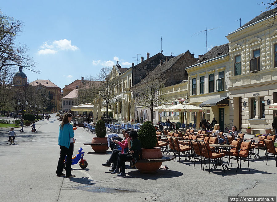 Весна в деревне Сремски-Карловци, Сербия