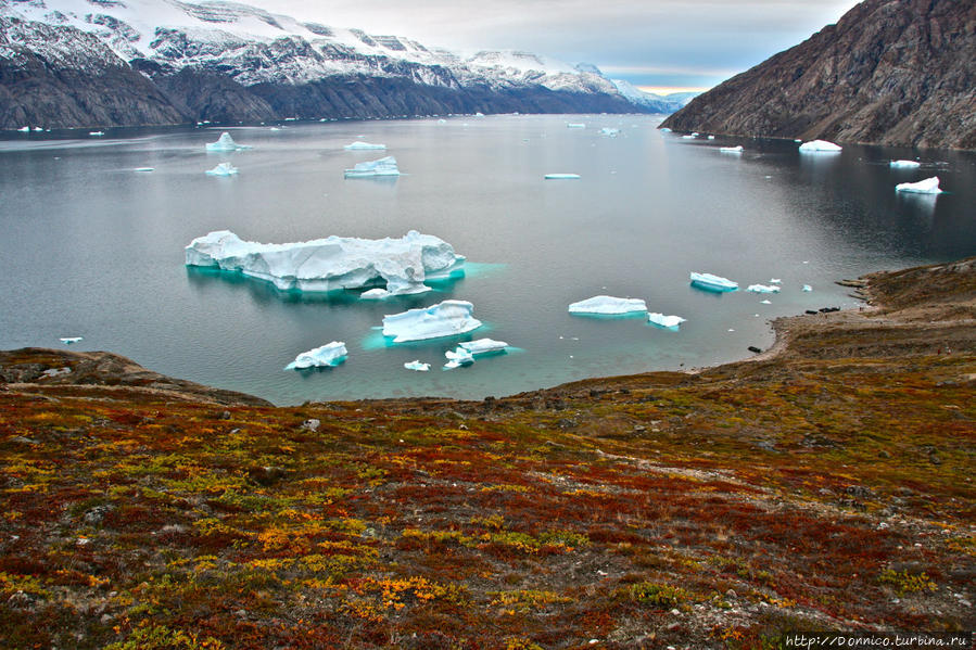 Гренландия осадки. Национальный парк Северо-Восточной Гренландии. Гренландия (остров). Зеленая Гренландия.