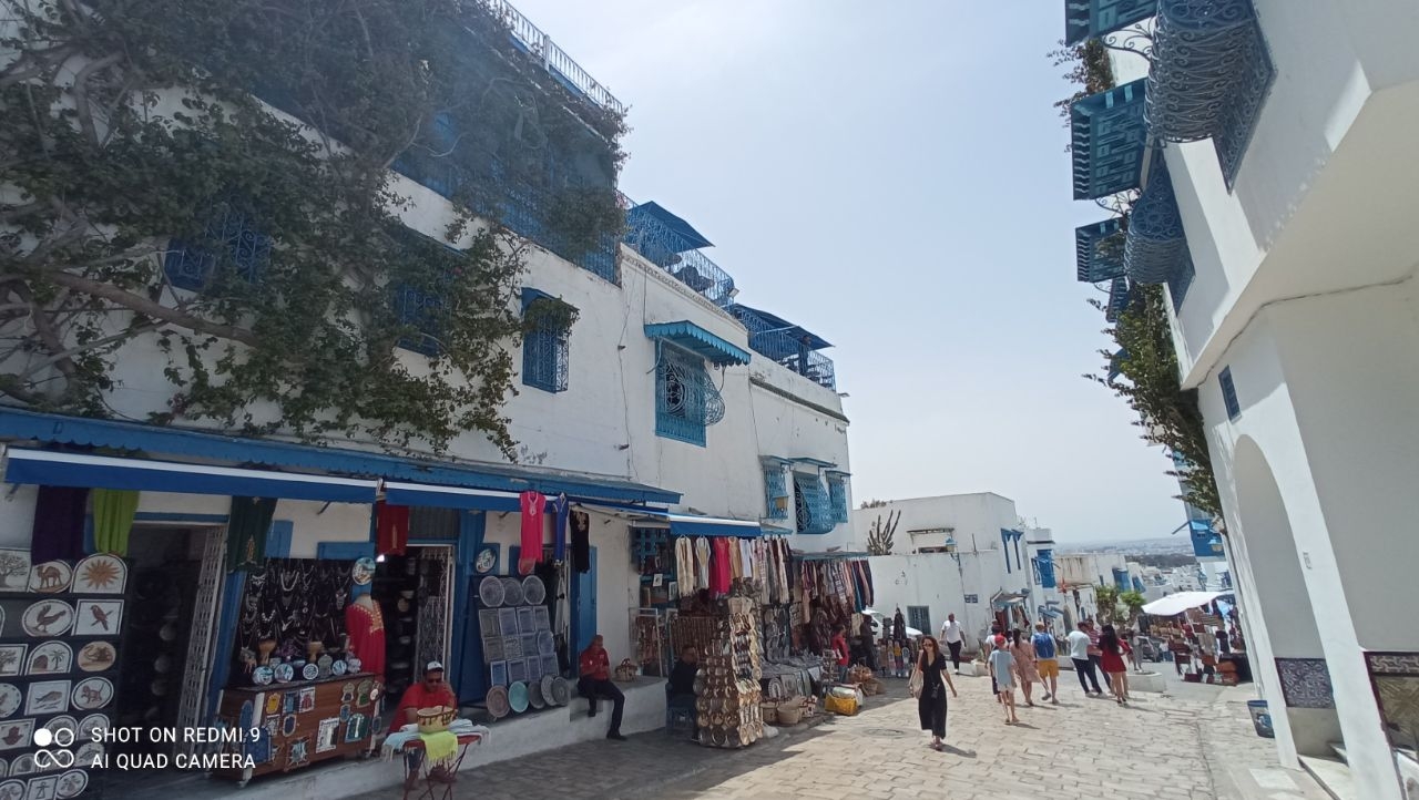 Бело-голубая жемчужина Туниса Сиди-Бу-Саид, Тунис