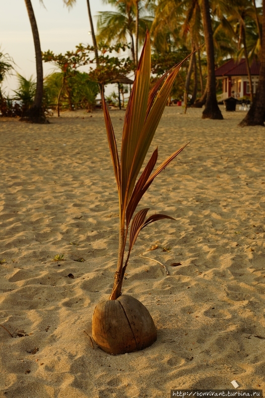 Релакс в Ngwe Saung Нгве-Сон, Мьянма