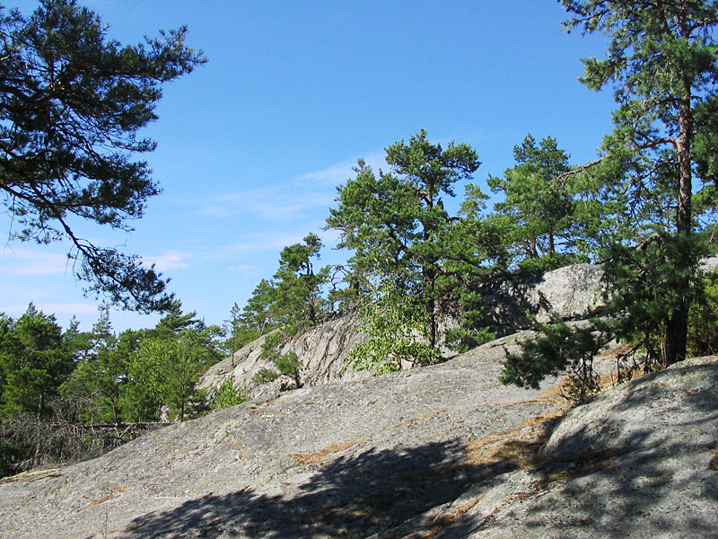 Смотровая вышка на горе Боргберг Провинция Варсинайс-Суоми, Финляндия