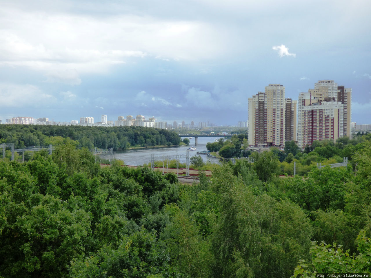 Химки д. Парк Химки. Химкинский парк. Парк Толстого Химки динозавры. Парки в Химках.