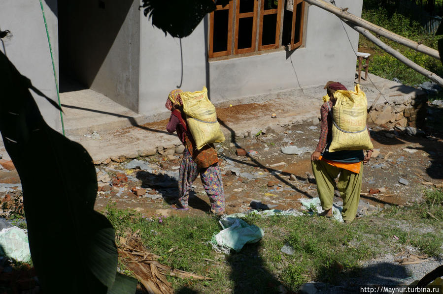 Как    и    везде  —  мужчина    надзирает,   женщины    работают. Покхара, Непал