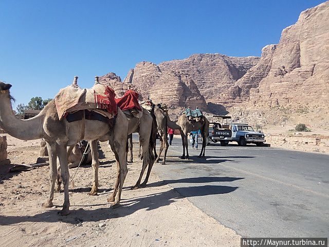 Альтернативный транспорт Пустыня Вади Рам, Иордания