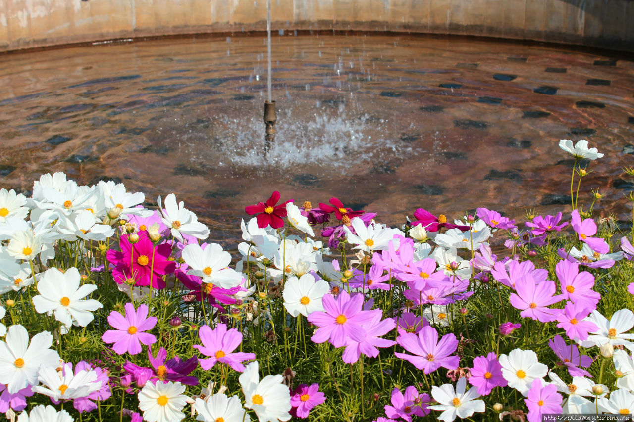 Лето: постскриптум. География в фонтанах-2.