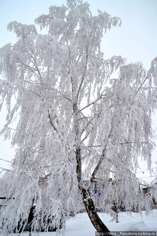 С Наступающим 2014 Оренбургская область, Россия