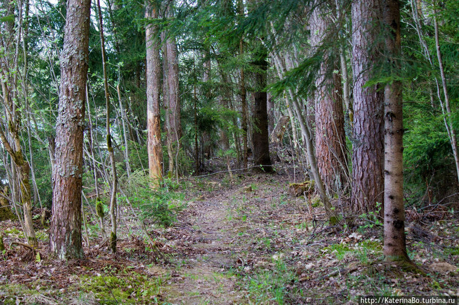 Для чего не стоит сидеть дома в первомай Истра, Россия