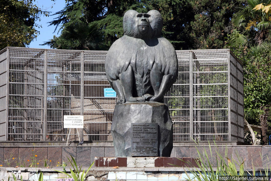 Сухумский обезьяний питомник Сухум, Абхазия