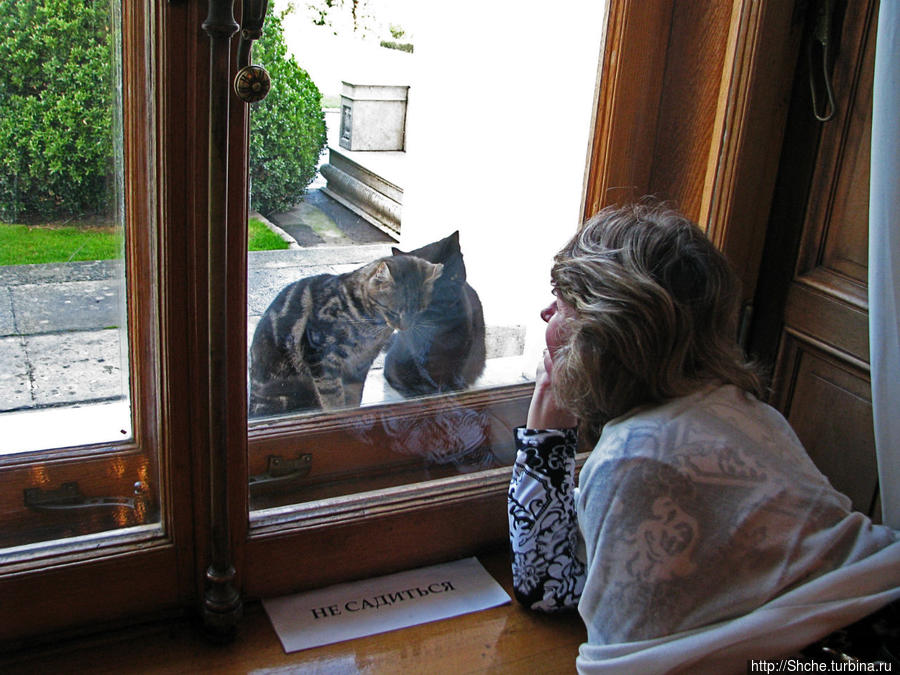 Супруга не много заскучала в этой части экспозиции, но на помощь пришли любимые кошки Ливадия, Россия