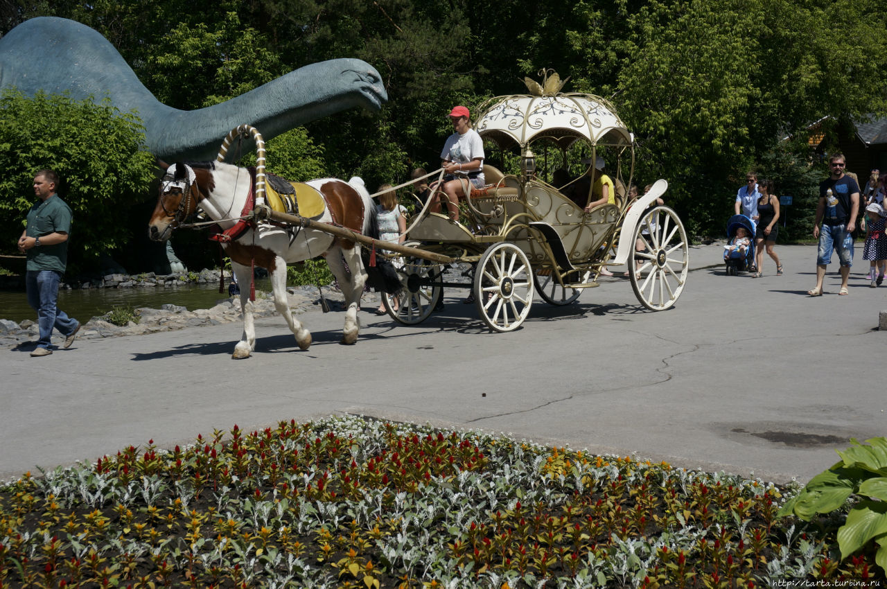 Новосибирский зоопарк Новосибирск, Россия