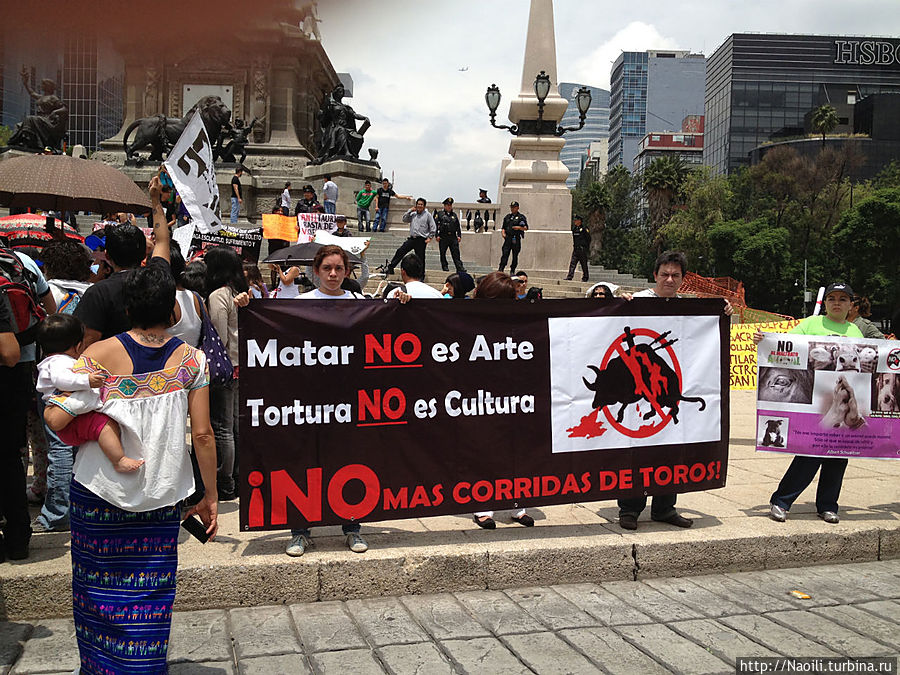 Надпись Убивать — не искусство, а пытки — не культура, Нет корриде быков! Мехико, Мексика