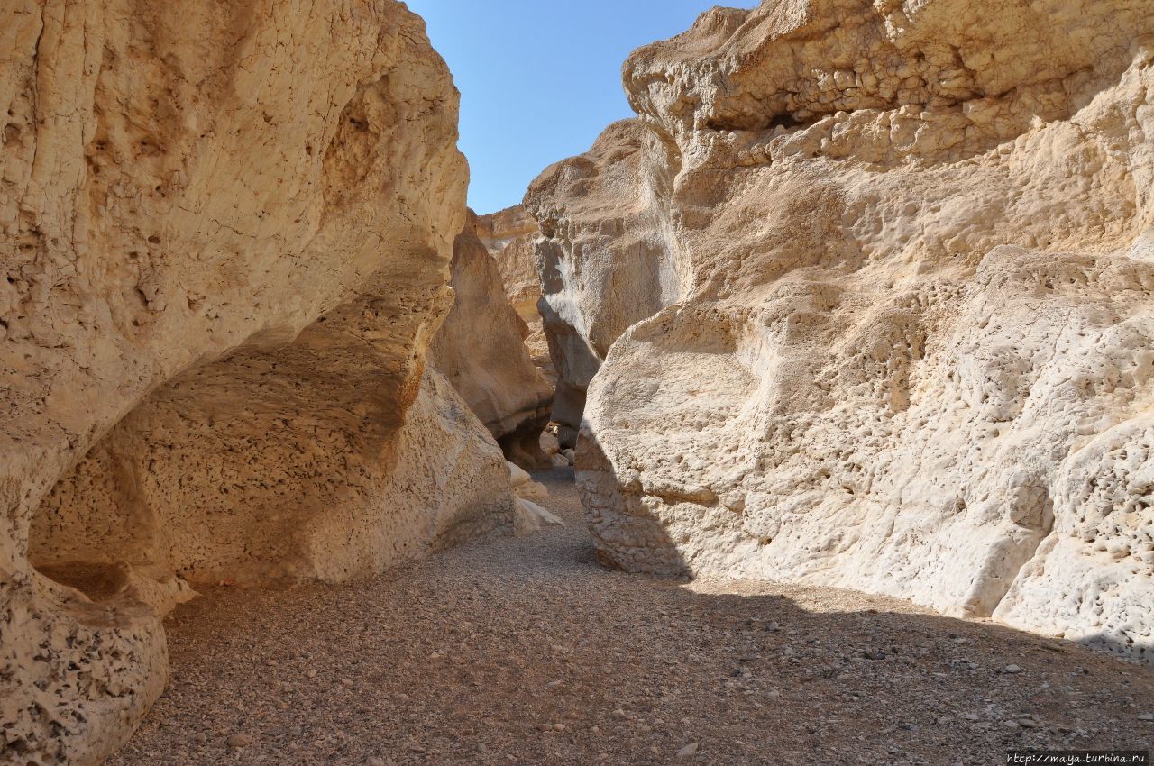 Ущелье Парсат Некарот с водой и без... Мицпе-Рамон, Израиль