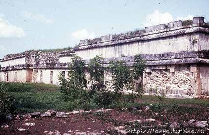 Из интернета