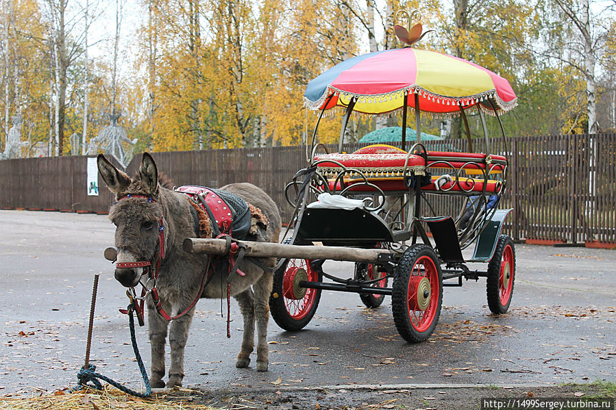 Сестрорецкий Разлив. Недетские воспоминания Сестрорецк, Россия