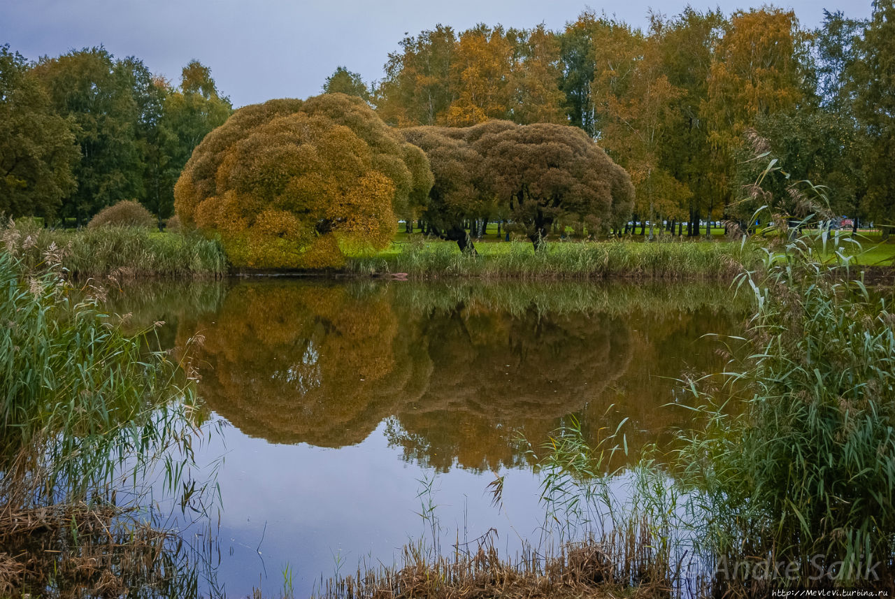 Октябрь в парке Аркадия Рига, Латвия