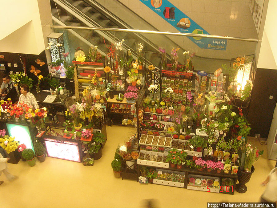 Цветы в супермаркете.