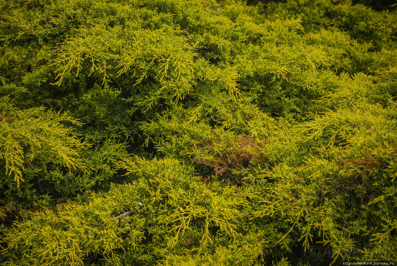 В воскресенье у Оперного Рига, Латвия