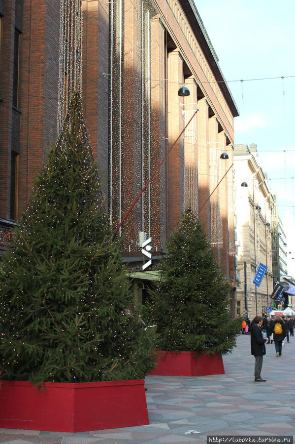 Ель обыкновенная — да Необыкновенная — Рождественская Хельсинки, Финляндия
