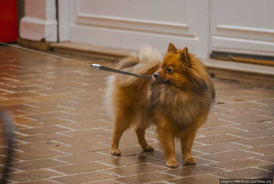 В дождик в Париже Париж, Франция