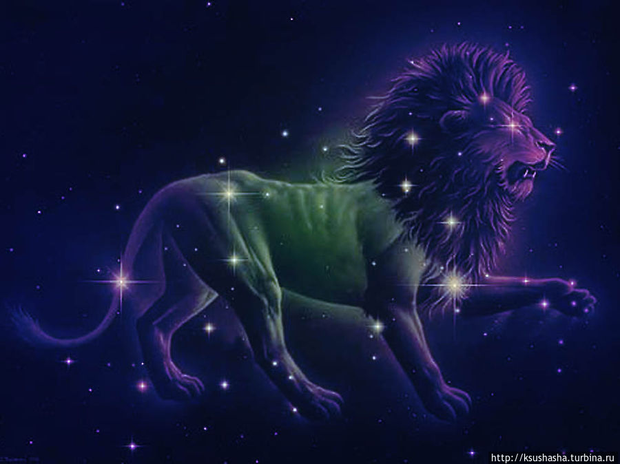 Львы Иерусалима Иерусалим, Израиль