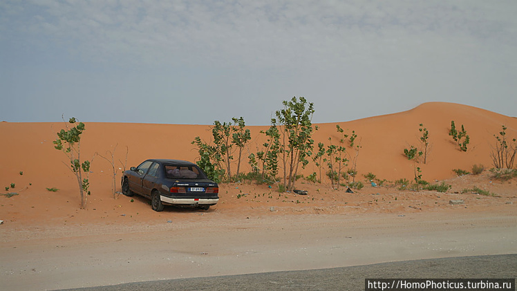 Парковка в пустыне
