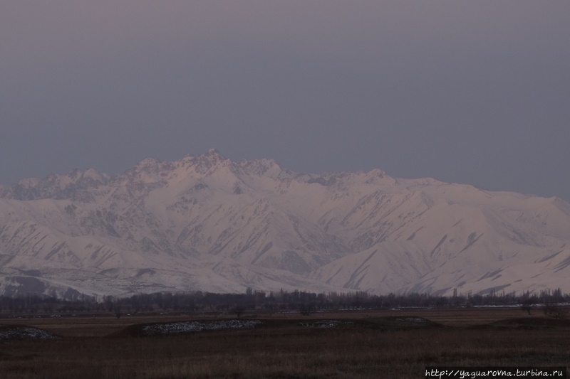 Музей-заповедник Бурана Бурана (Баласагун), Киргизия