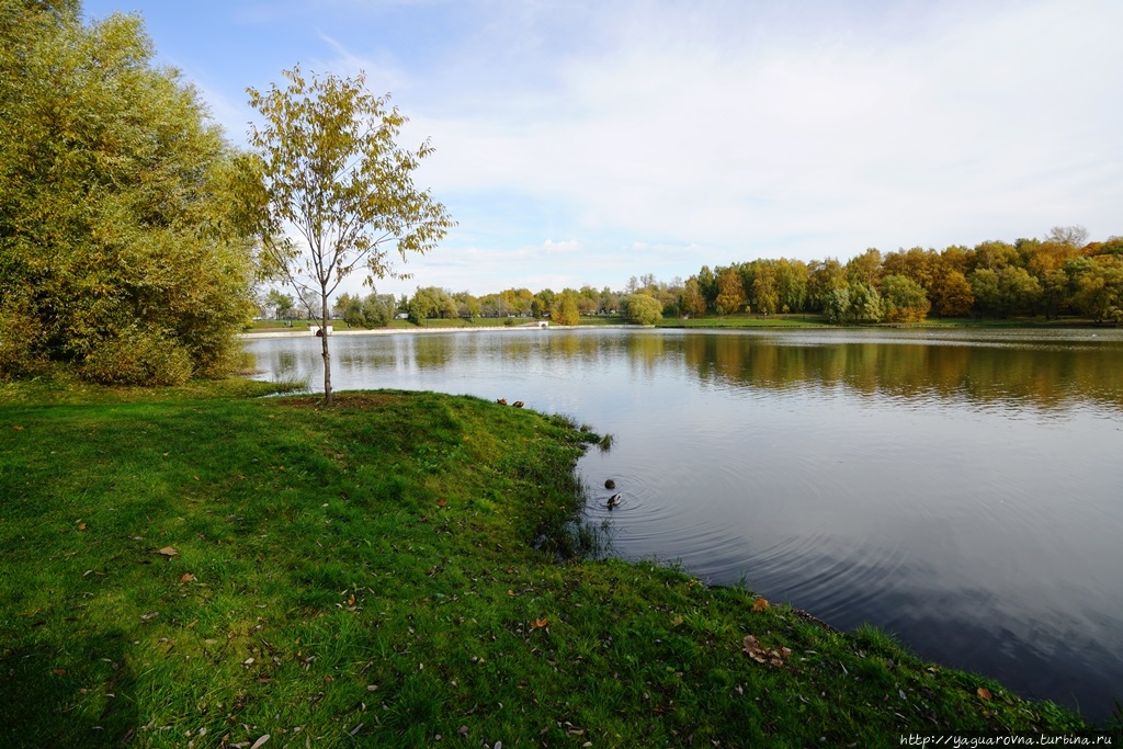 Несколько часов в парке Царицыно. Москва (город - регион), Россия