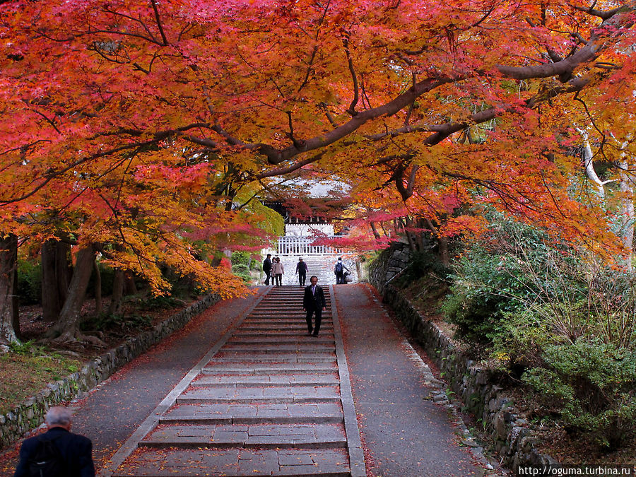 на аллеях храма Бисямондо, Киото Япония