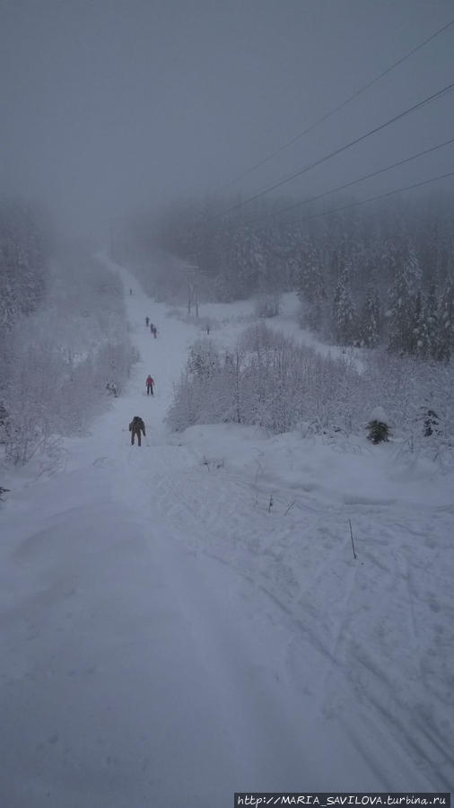 в день, когда катались на лыжах, был туман Чупа, Россия