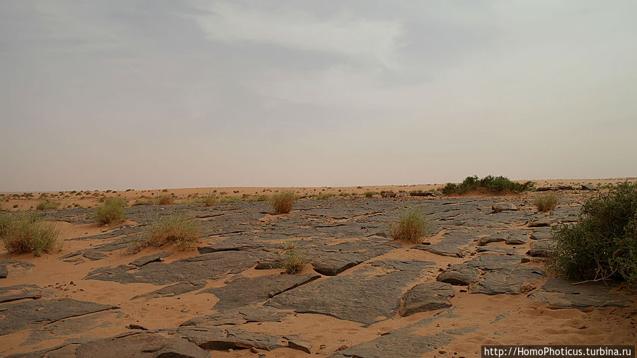 Два  источника возле глаза Сахары Уадан, Мавритания