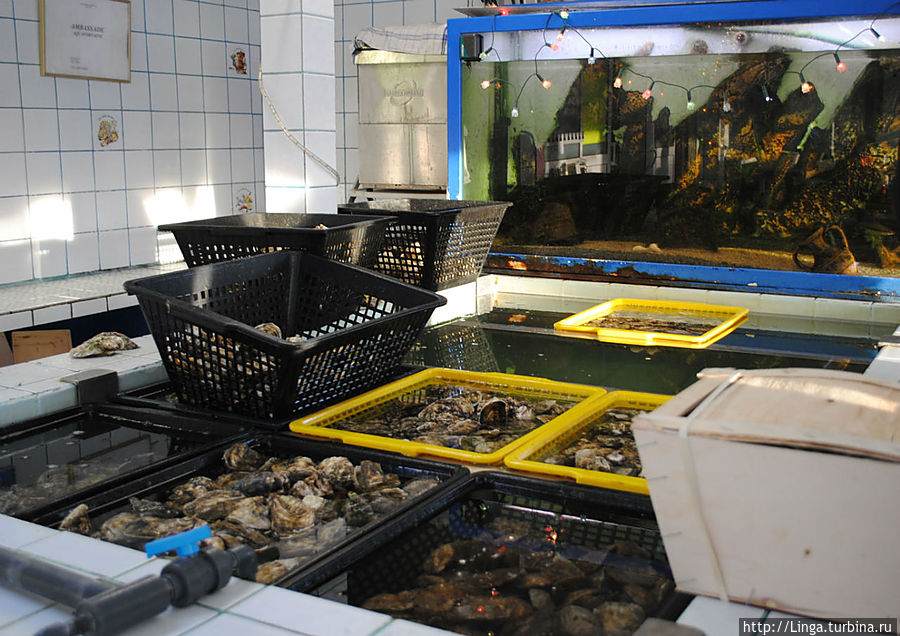 В таких ваннах устрицы и мидии хранятся перед подачей к столу, а в коробке — готовые к продаже.