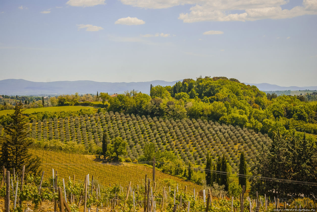 Окрестности San Gimignano Сан-Джиминьяно, Италия